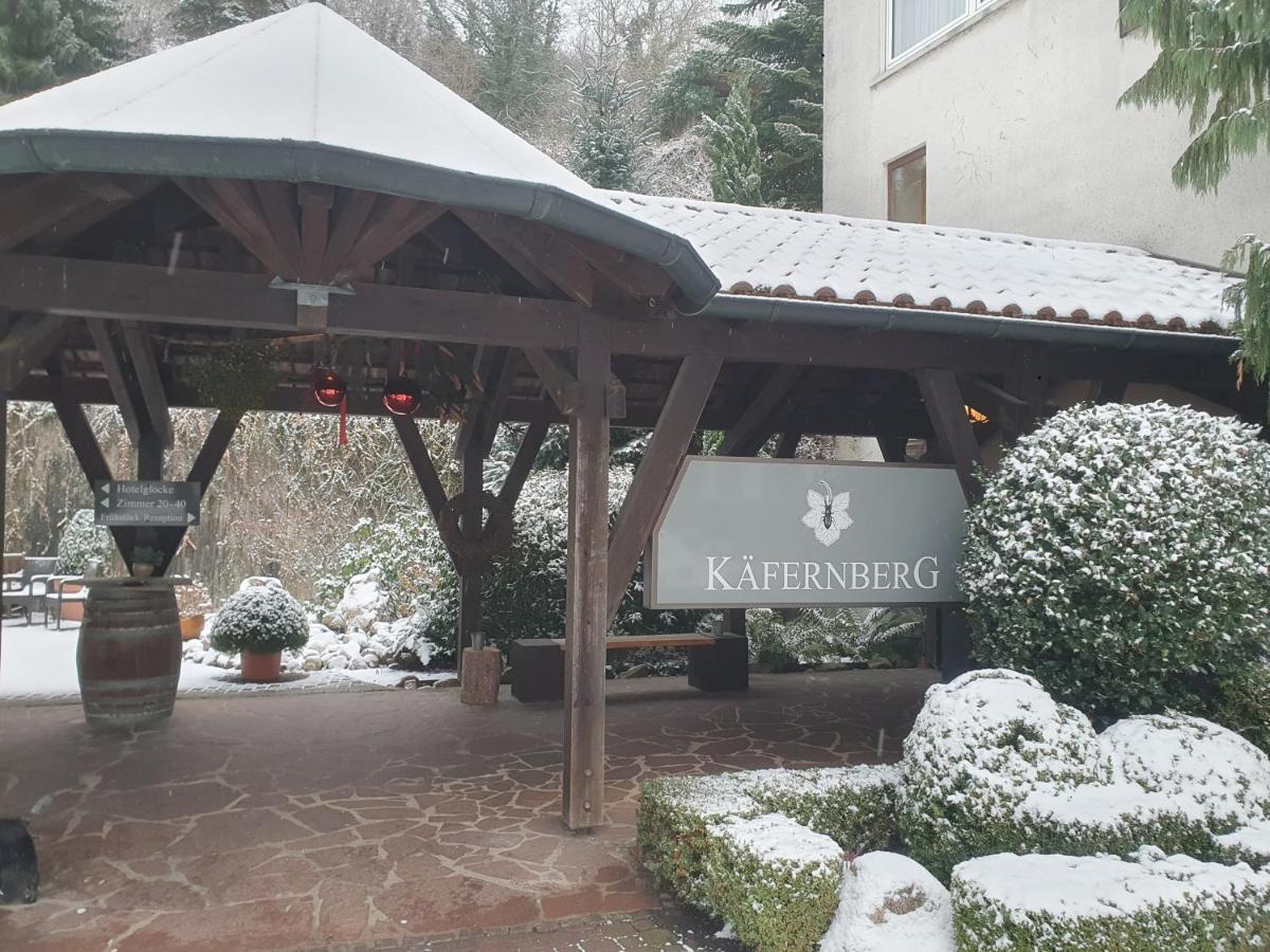 Kaefernberg - Weinhotel Альценау Экстерьер фото